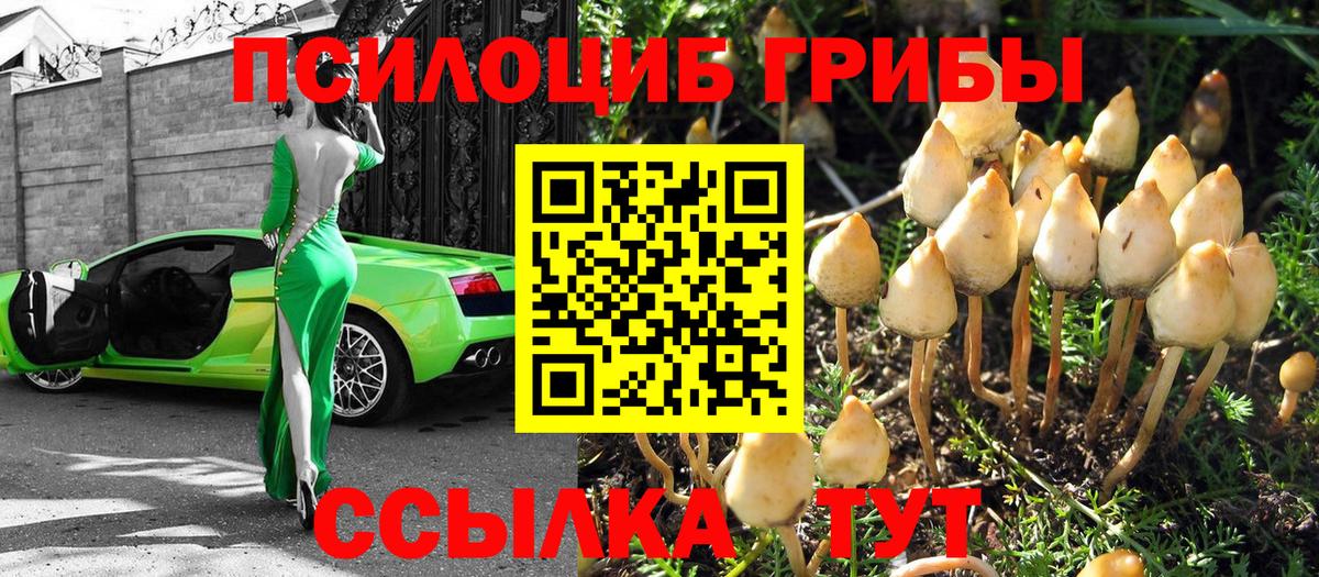 Псилоцибиновые грибы прущие грибы  Вход с VPN  Псилоцибиновые грибы прущие грибы  Дивногорск 
